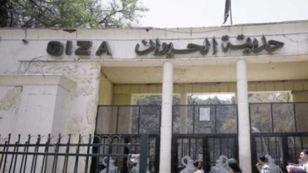 موعد افتتاح حديقة الحيوان بالجيزة.. خريطة التطوير وتفاصيل عودة الزوار