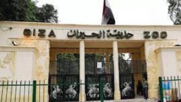 رؤية عالمية لتطويرها وربطها بالأورمان.. متى تفتح جنينة الحيوانات أبوابها؟
