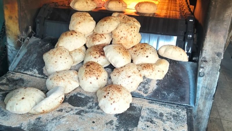 بشرى لأهالي بلاط الوادي الجديد، إعادة تشغيل مخبز الغناي بعد توقف أكثر من عام