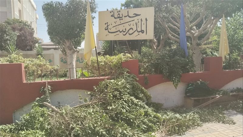 “تجميل مدارسنا”، تعاون بين جهاز التطوير والتجميل وتعليم الإسماعيلية استعدادًا للعام الدراسي الجديد (صور)