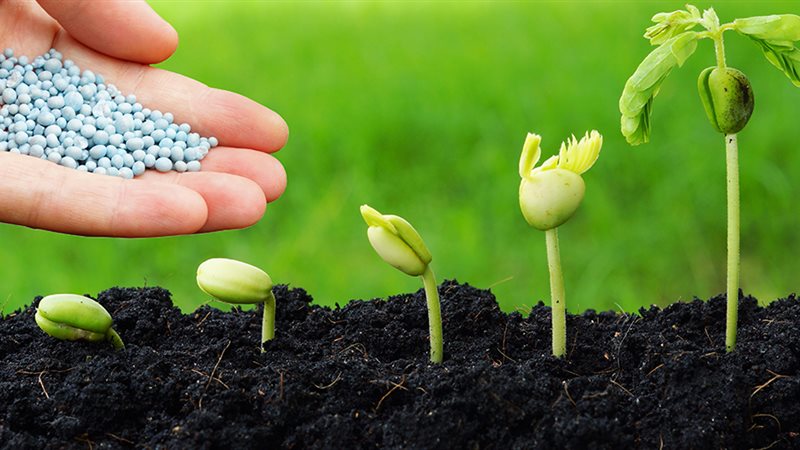 تتجاوز الـ 4 آلاف جنيه، ارتفاع خيالي في أسعار الأسمدة اليوم بالأسواق