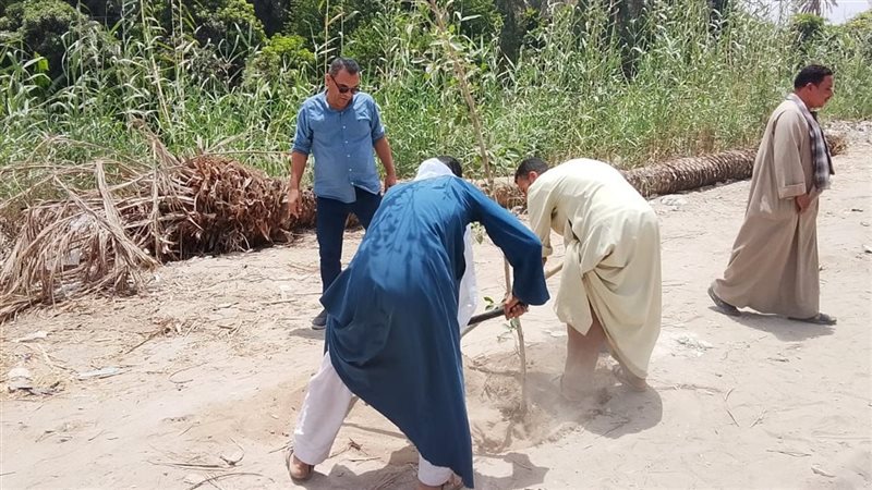 نائب يسأل الحكومة عن خطة زيادة المساحات الخضراء من خلال التشجير