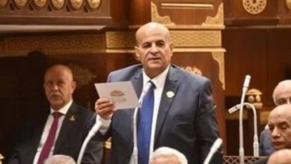 برلماني: الشراكة المصرية الصينية أمام مرحلة جديدة من التعاون الاقتصادي والتكنولوجي