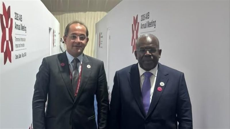 وزير المالية: التنوع الاقتصادي وتحسن المؤشرات المالية أهم ركائز التعاون المصري التنزاني