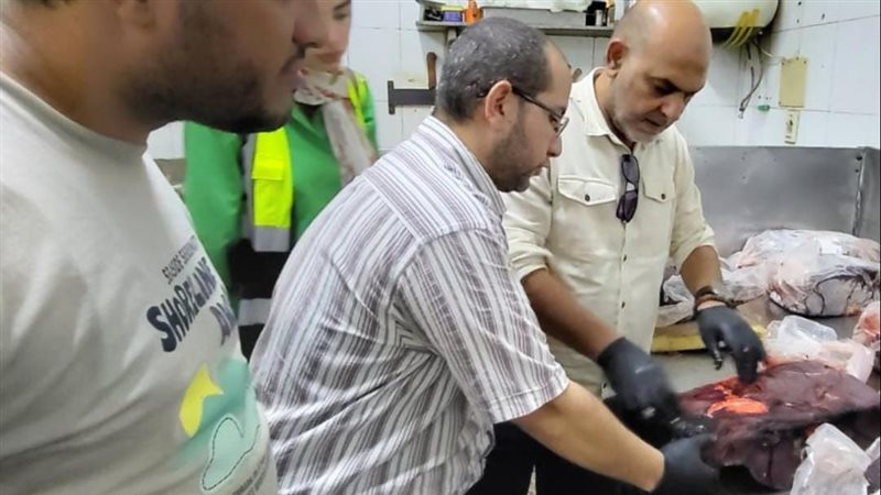 لحوم مذبوحة خارج المجازر وأخرى غير صالحة، ضبط 780 كيلو في حملة رقابية بشبرا الخيمة