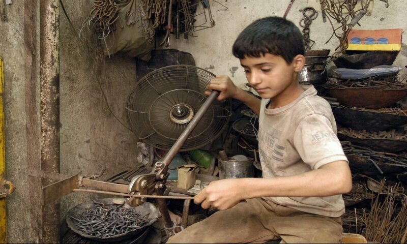 ضوابط حماية الأطـ.فال في سوق العمل بالقانون