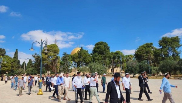 نحو 480 مستوطنا يقتحمون المسجد الأقصى.. تصعيد إسرائيلي واسع بالتزامن مع الأعياد اليهودية