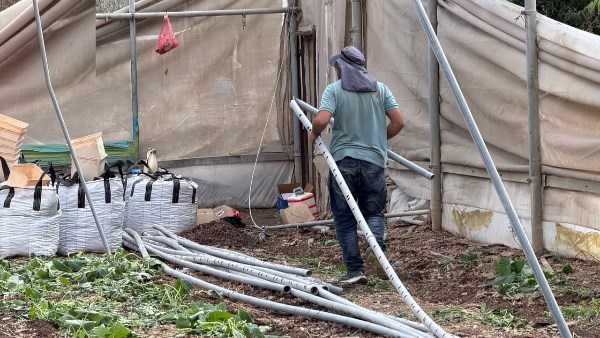 عمرها 43 عاما.. مزارع فلسطيني يفكك مزرعته بعد إخطار إسرائيلي بهدمها في طولكرم