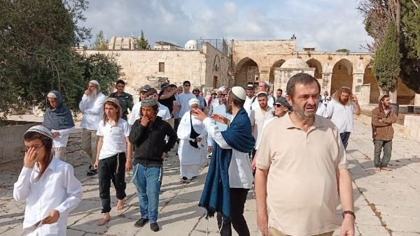 يتقدمهم بن غفير.. المستوطنون الإسرائيليون يقتحمون المسجد الأقصى والحرم الإبراهيمي