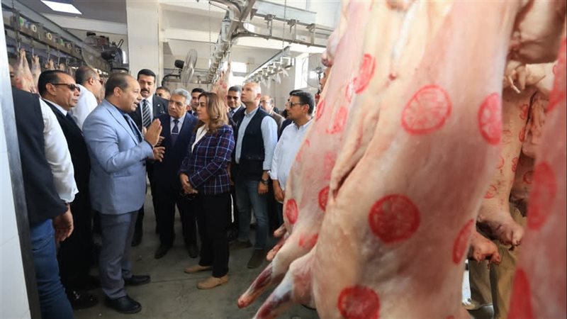 وزيرة التنمية المحلية ومحافظ الدقهلية يفتتحان تطوير مجزر بلقاس
