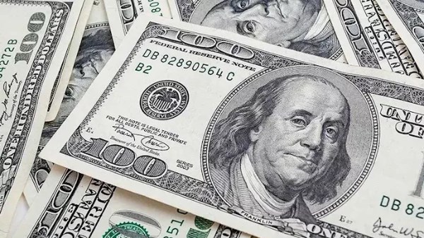 الدولار يترقب تحركًا جديدًا.. مصطفى بدرة يتوقع الوصول إلى 51 جنيهًا