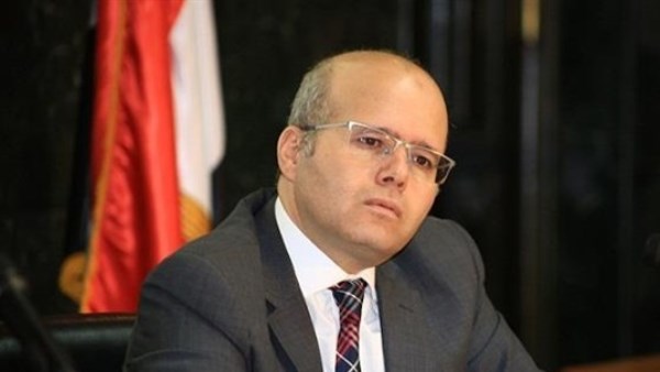 جمال الكشكي: التحرك المصري في أزمات المنطقة يستند لحماية الدولة ورفض توسيع دائرة الصراع