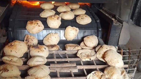 رئيس شعبة المخابز يكشف تطورات أسعار الخبز السياحي بعد قفزة جديدة في تكلفة الدقيق