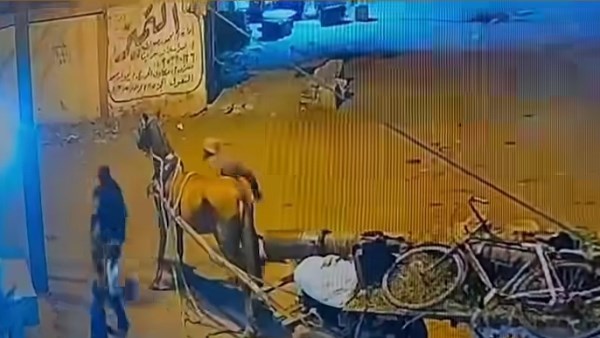 جنزير و15 غرزة.. شاب يعتدي على آخر في المحلة بسبب خلافات سابقة