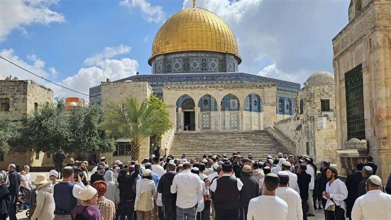 خبير استراتيجي: طقوس المستوطنين بالأقصى جزء من مخطط لطمس الهوية العربية والإسلامية