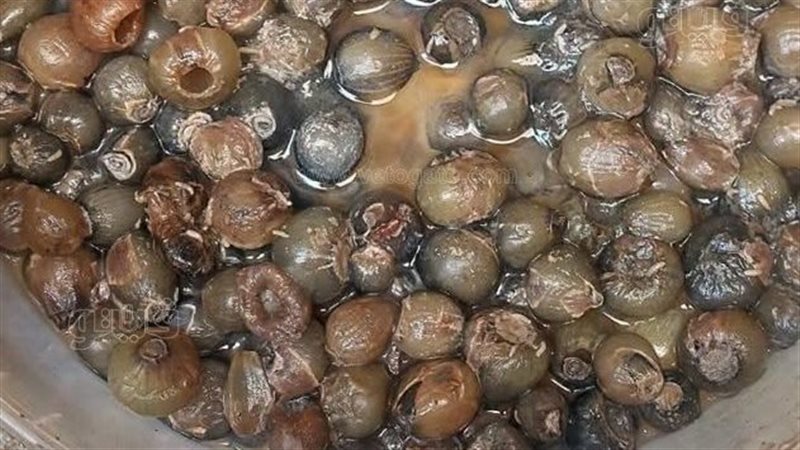 ضبط طن زيتون و650 كيلو بلح للاشتباه في عدم صلاحيتهما بمطروح