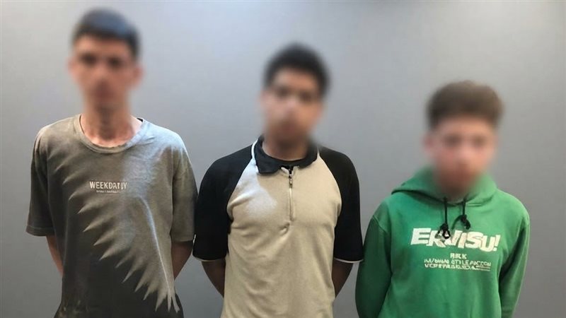 3 عاطلين وراء التعدي على فتاة وإتلاف هاتفها في طنطا، والداخلية تكشف التفاصيل