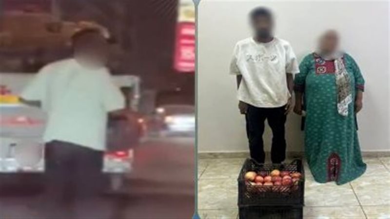 لص يستغل مطبا صناعيا لسرقة “قفصين فاكهة” من سيارة ربع نقل بالقليوبية