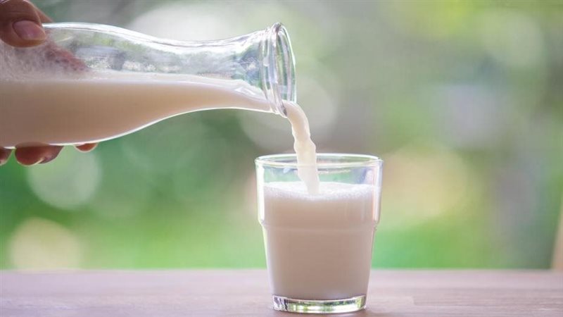 اللبن أخطرها، تحذيرات من انتقال البروسيلا والسالمونيلا والميكروب العنقودي الذهبي للإنسان
