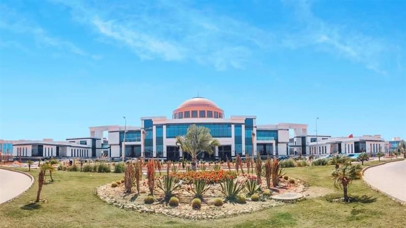 جامعة زويل تعلن عن 20 منحة لدراسة الهندسة لأبناء الإسكندرية، اعرف الشروط
