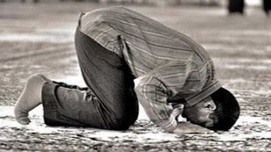 هل سجود السهو يعوض الركعة الناقصة؟.. أمين الفتوى يوضح