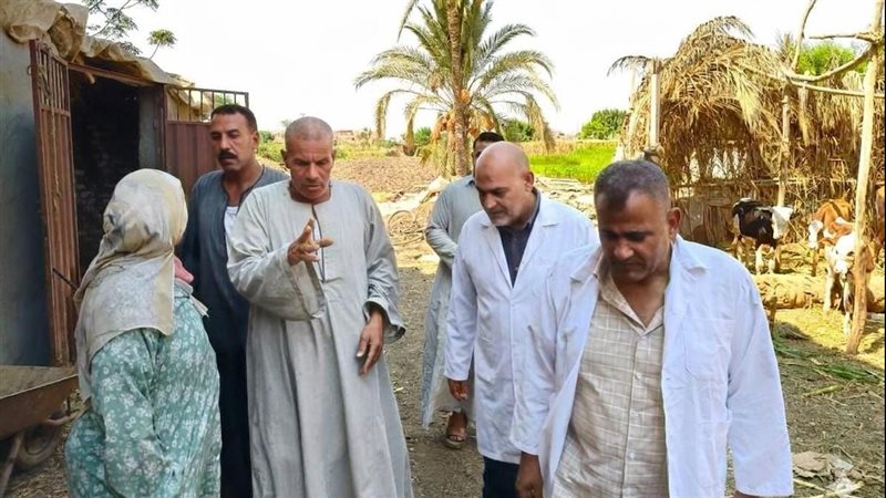 81 ألف رأس ماشية، بيطري القليوبية يواصل تحصين الثروة الحيوانية ضد الحمى القلاعية والوادي المتصدع