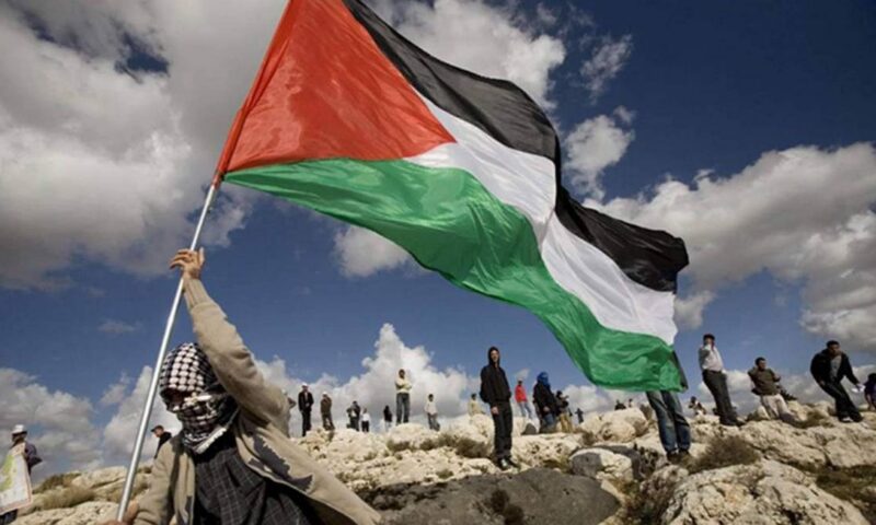 طارق فهمي: مصر تضع القضية الفلسطينية في مقدمة المشهد الدولي.. وزيارة عباس رسالة تنسيق