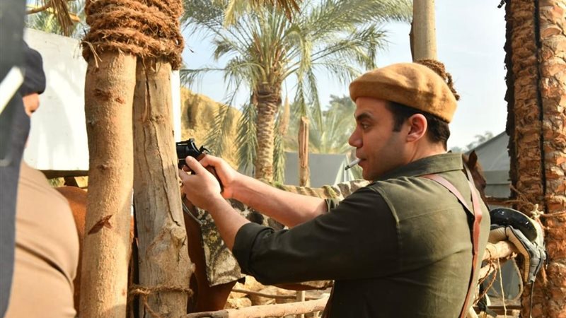 شمس الزناتي آخرها، أعمال فنية عادت إلى الشاشة برؤى مختلفة (إنفوجراف)