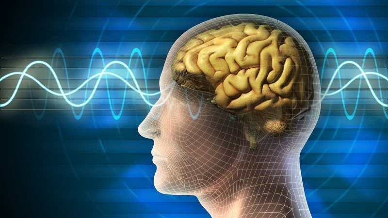 10 أكلات مهمة تحارب النسيان وتقوي الذاكرة
