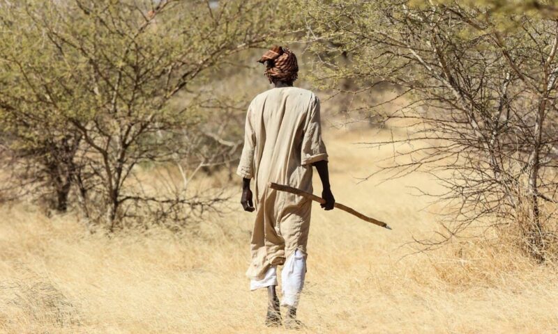 60 قتيلا بانهيار منجم ذهب في السودان.. وبحث عن عالقين