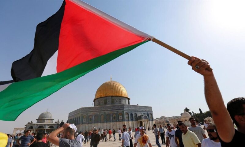 أستاذ قانون دولي: الخطاب العالمي تجاه القضية الفلسطينية يتغير.. والمطلوب إجراءات عملية