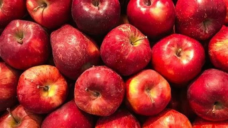 تفسير رؤية التفاح الأحمر في المنام وعلاقتها بزيادة في المال