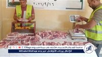 تحت إشراف تضامن المنيا….توزيع لحوم على 70 أسرة من الأكثر احتياجًا بقرية «اتليدم» في أبو قرقاص
