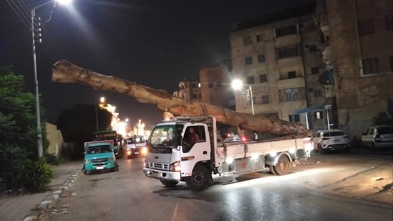 ضبط سيارة محملة بأخشاب كافور معمرة بالدقهلية وقرار عاجل من المحافظ