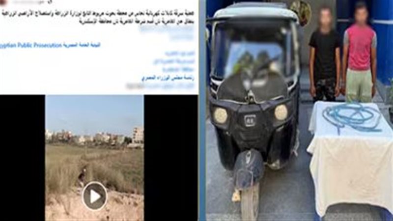 ضبط عامل خردة وسائق توك توك بتهمة سرقة سلك كهرباء من محطة البحوث الزراعية بمريوط