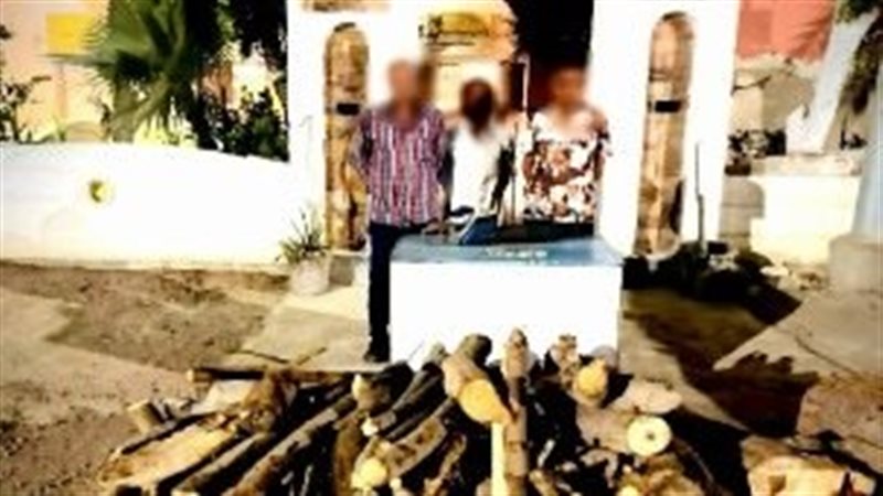 محضر شرطة بسبب قطع الأشجار، ضبط 3 أشخاص في المحلة