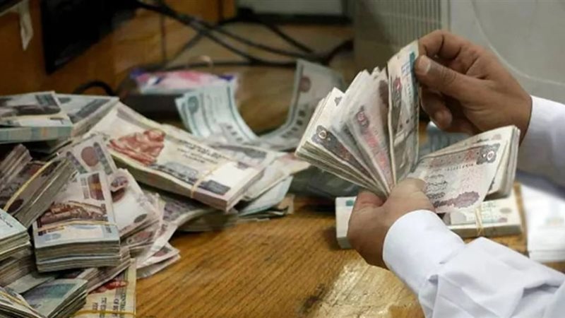 تأجيل نظر قرار منع متهمين باختلاس مليون جنيه من التصرف في أموالهما