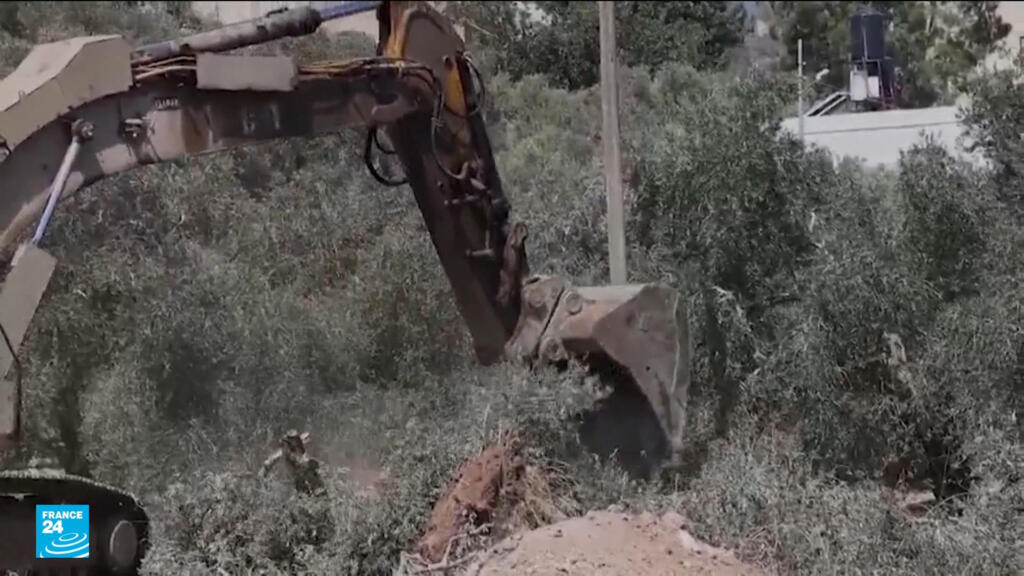 الجرافات الإسرائيلية تقتلع أشجار الزيتون في بلدة عرابة الفلسطينية قبل أسابيع من موسم القطاف