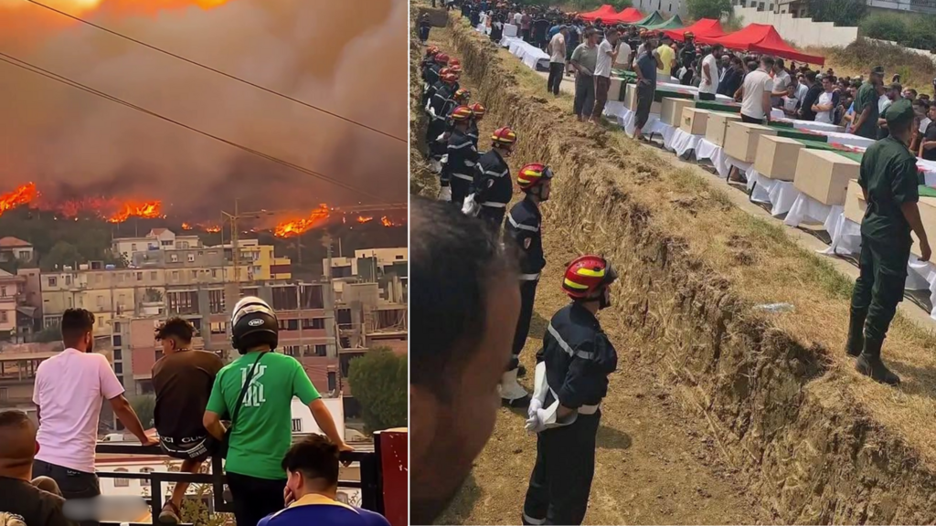 الجزائر: دفن جماعي يكشف جزءا من حجم الخسائر البشرية في “الأربعاء الأسود” للحرائق
