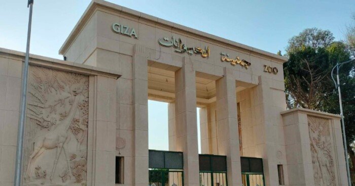 بعد 3 سنوات من التطوير.. تفاصيل عودة حديقة الحيوان بالجيزة
