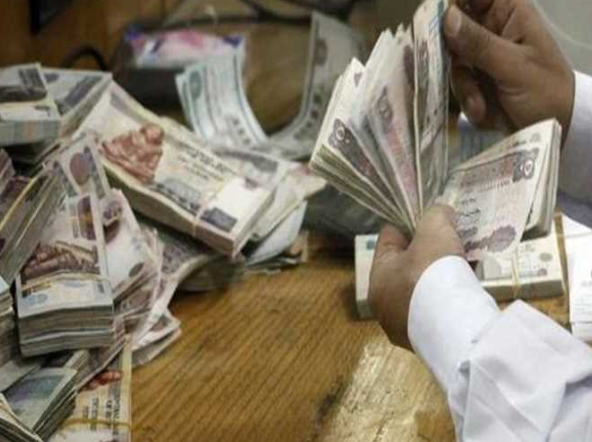 ضربة حاسمة لتجار «الأخضر».. الداخلية تضبط قضايا قيمتها 10 ملايين جنيه