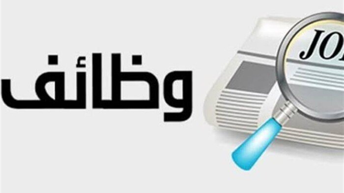 فرص عمل جديدة للشباب.. وزارة العمل توفر 200 وظيفة في الواحات البحرية