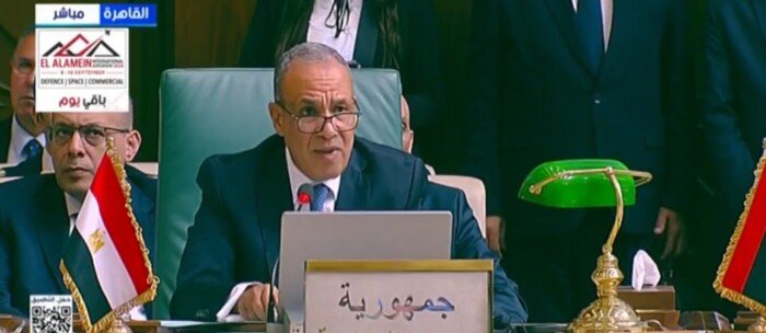 عبد العاطي: مصر ترفض فرض وقائع جديدة على الأراضي الفلسطينية