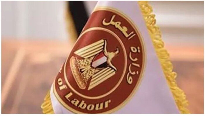 فرص عمل جديدة.. وظائف بوزارة العمل برواتب تصل لـ 30 ألف جنيه