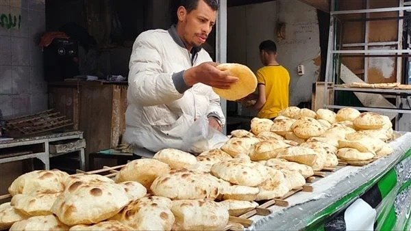 غرفة صناعة الحبوب تقترح مبادرة لتوفير الدقيق للمخابز بالسعر العادل