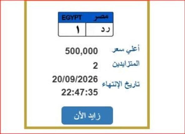 وصل سعرها 500 ألف جنيه.. المرور تطرح لوحة سيارة مميزة| اعرف خطوات الحصول عليها