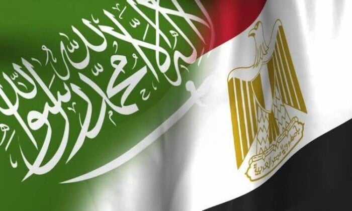 أستاذ بجامعة جدة: مصر والسعودية قوة عربية متكاملة