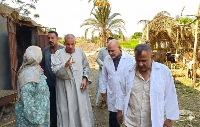 «بيطري القليوبية»: تحصين 81 ألف رأس ماشية خلال الأسبوع الأول من الحملة القومية ضد الحمى القلاعية
