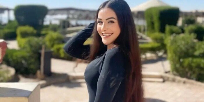 اليوم.. محاكمة المتهم بالنصب على الفنانة نيجار محمد