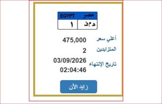 سعرها اقترب من نصف مليون جنيه.. المرور تطرح لوحة سيارة مميزة| اعرف خطوات الحصول عليها